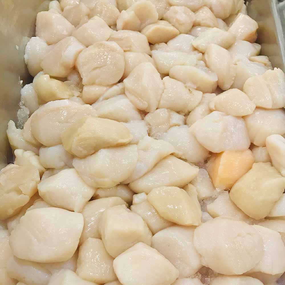 Fresh Raw Scallops