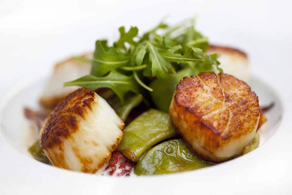 Tasty Scallops