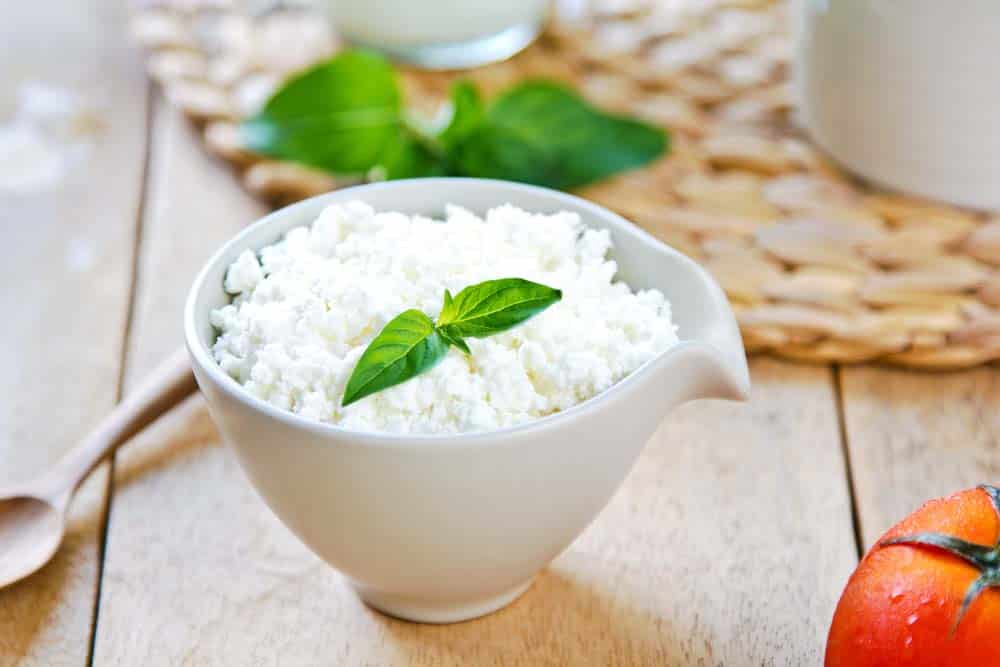 Ricotta Cheese