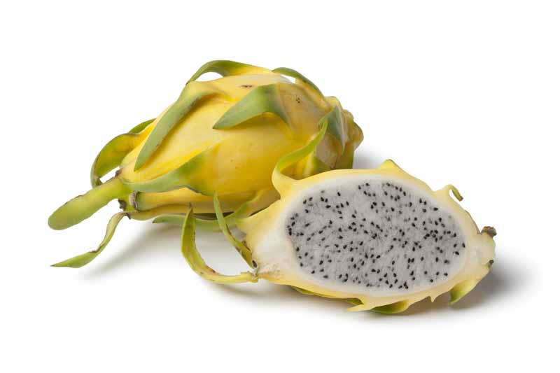 Yellow Dragonfruit