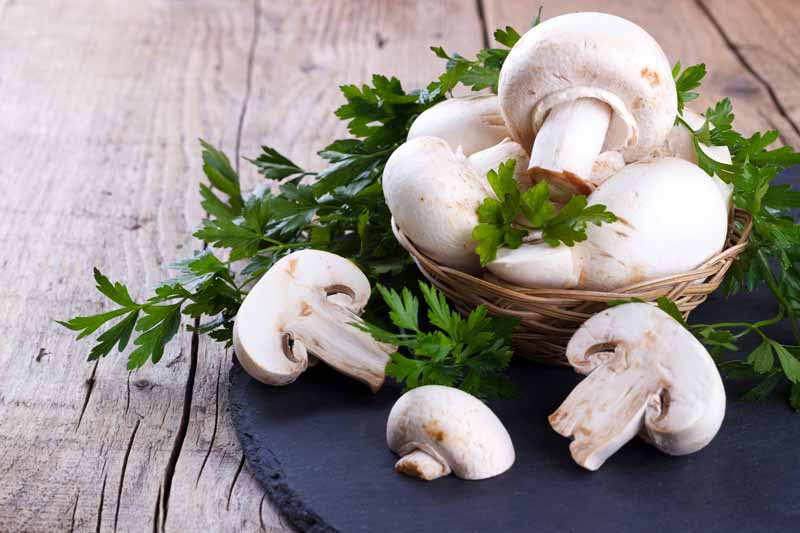 can you eat mushrooms raw