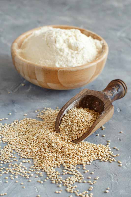 Raw white quinoa seeds and flour close up