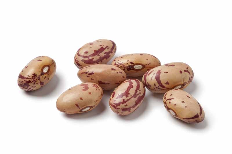 Pinto Beans alternative to black beans