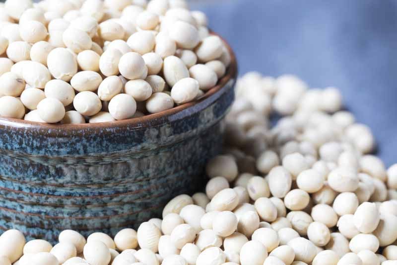 Use Soybeans instead of black beans