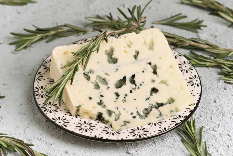 roquefort-cheese