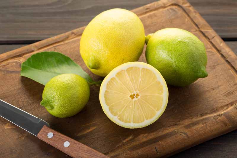 Is Lemon A Fruit Or A Vegetable