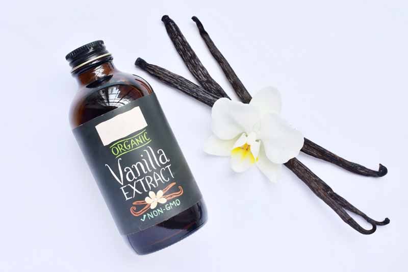 What Does Vanilla Extract Taste Like