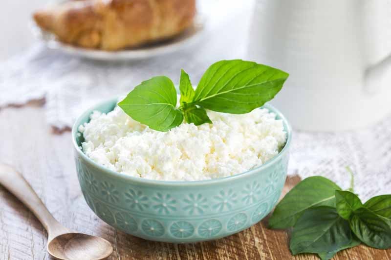 homemade-ricotta-cheese