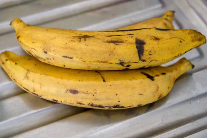 Is Plantain a Fruit or Vegetable