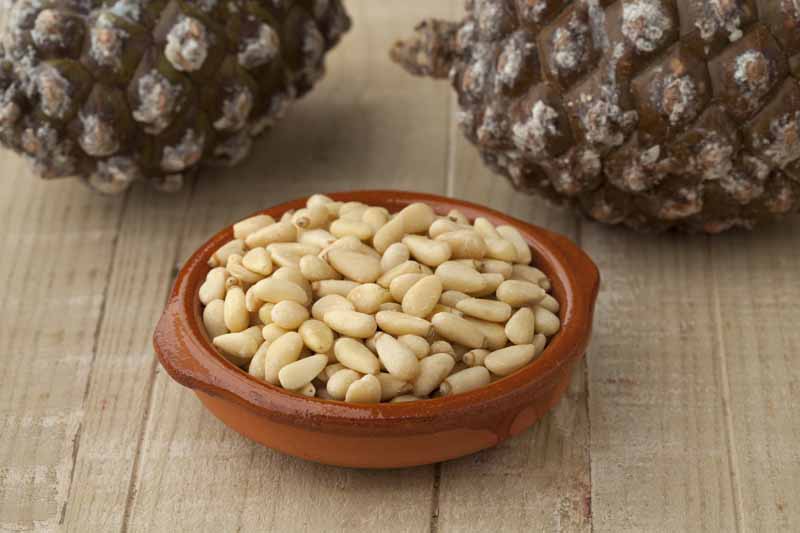 bowl-with-pine-nuts