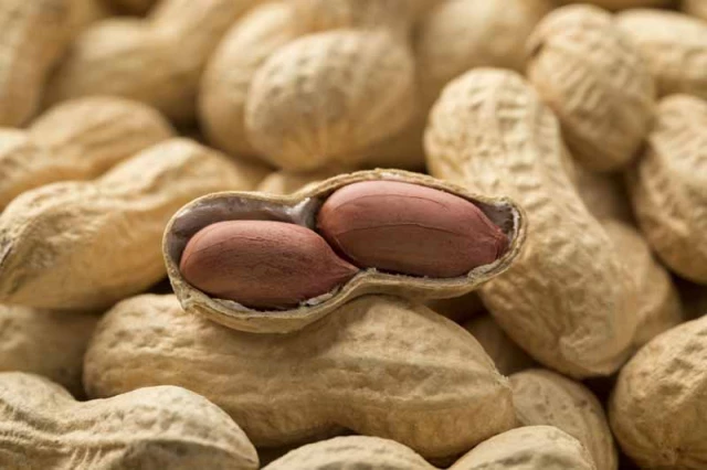 peeled-peanuts