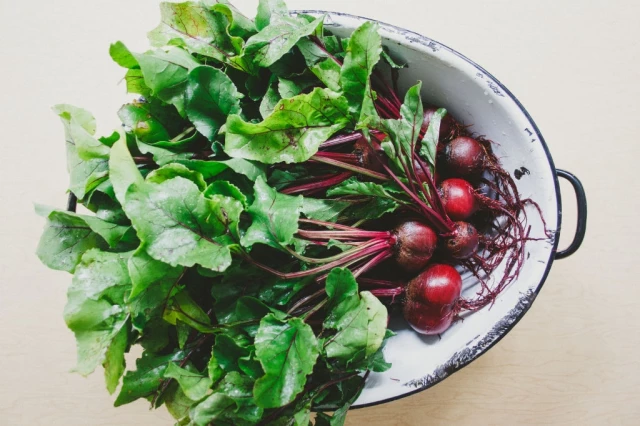 Beet Greens in a Bowl