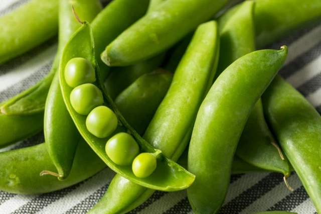 Raw Green Organic Snap Peas