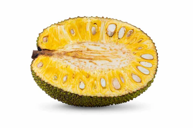 jackfruit-seed