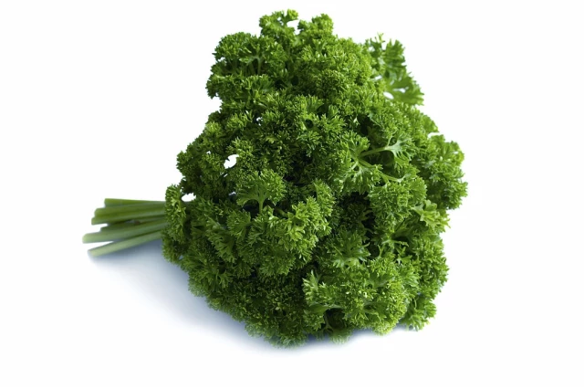 Curly Parsley