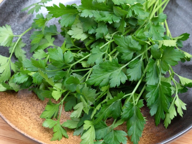 Italian Parsley