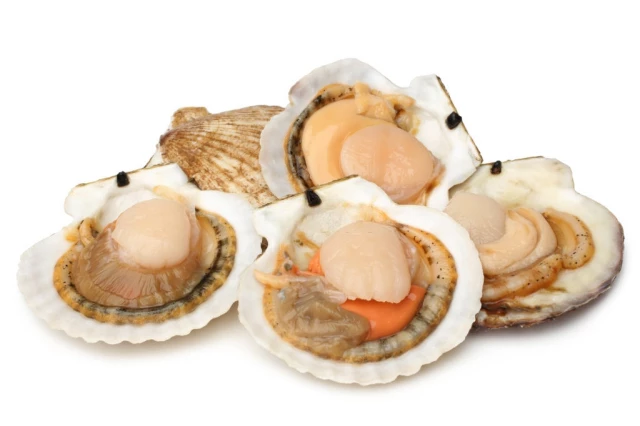 Is Scallop Roe Edible