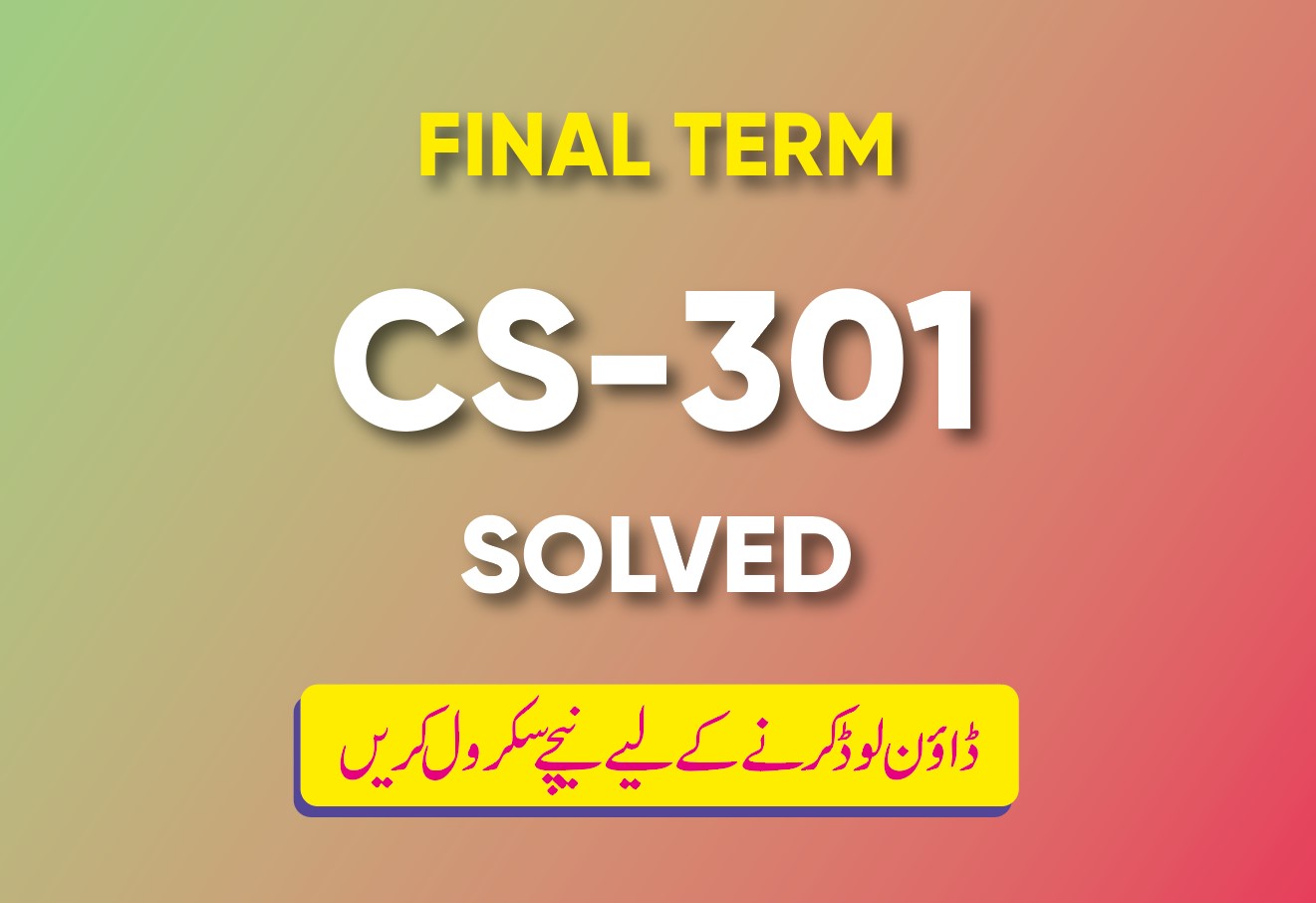 Final Term CS301