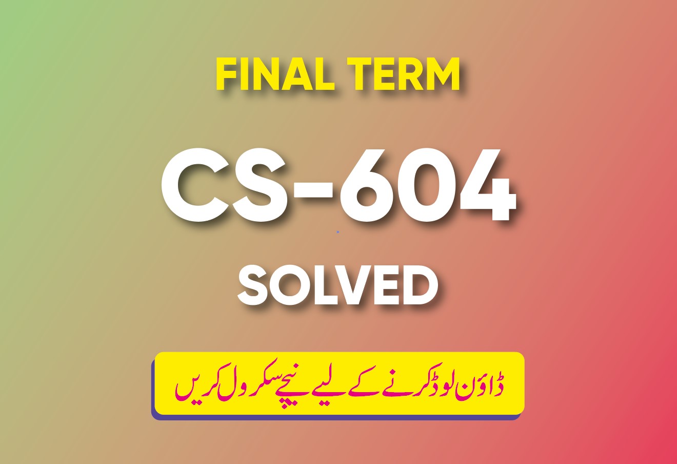 Final Term CS604