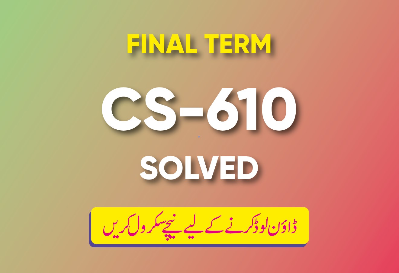 Final Term CS610