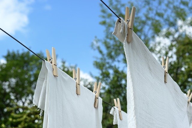 How to keep stink bugs out of your laundry